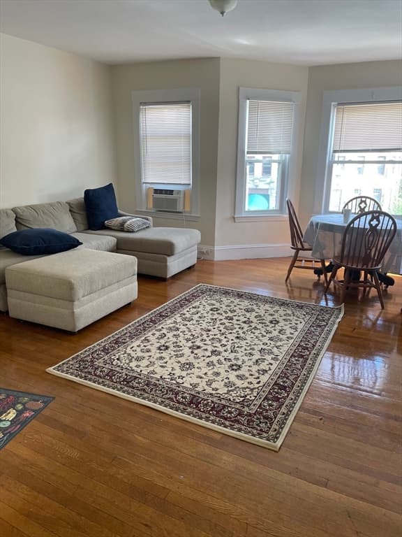 213 Chestnut Hill Ave, Boston MA 02135 photo 6