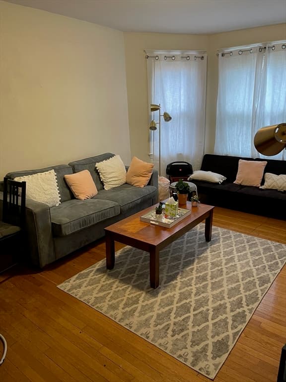 213 Chestnut Hill Ave, Boston MA 02135 photo 12
