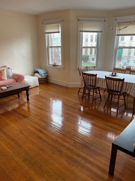 213 Chestnut Hill Ave, Boston MA 02135 photo 33
