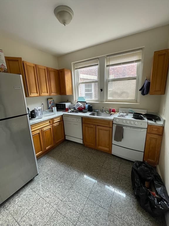 213 Chestnut Hill Ave, Boston MA 02135 photo 15