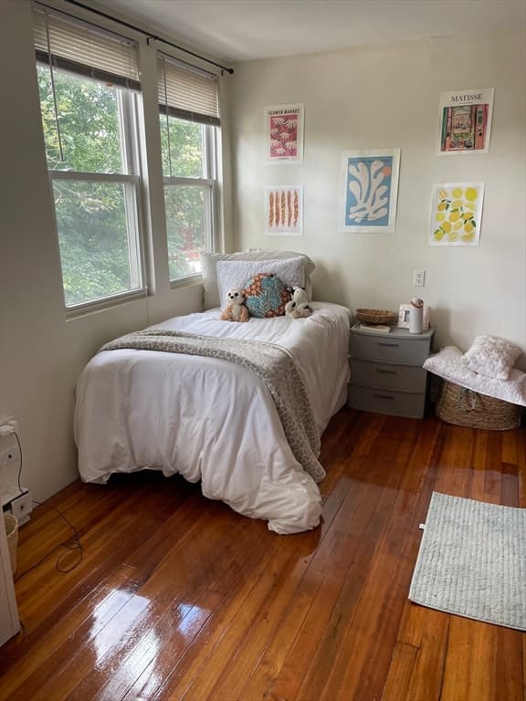 213 Chestnut Hill Ave, Boston MA 02135 photo 31