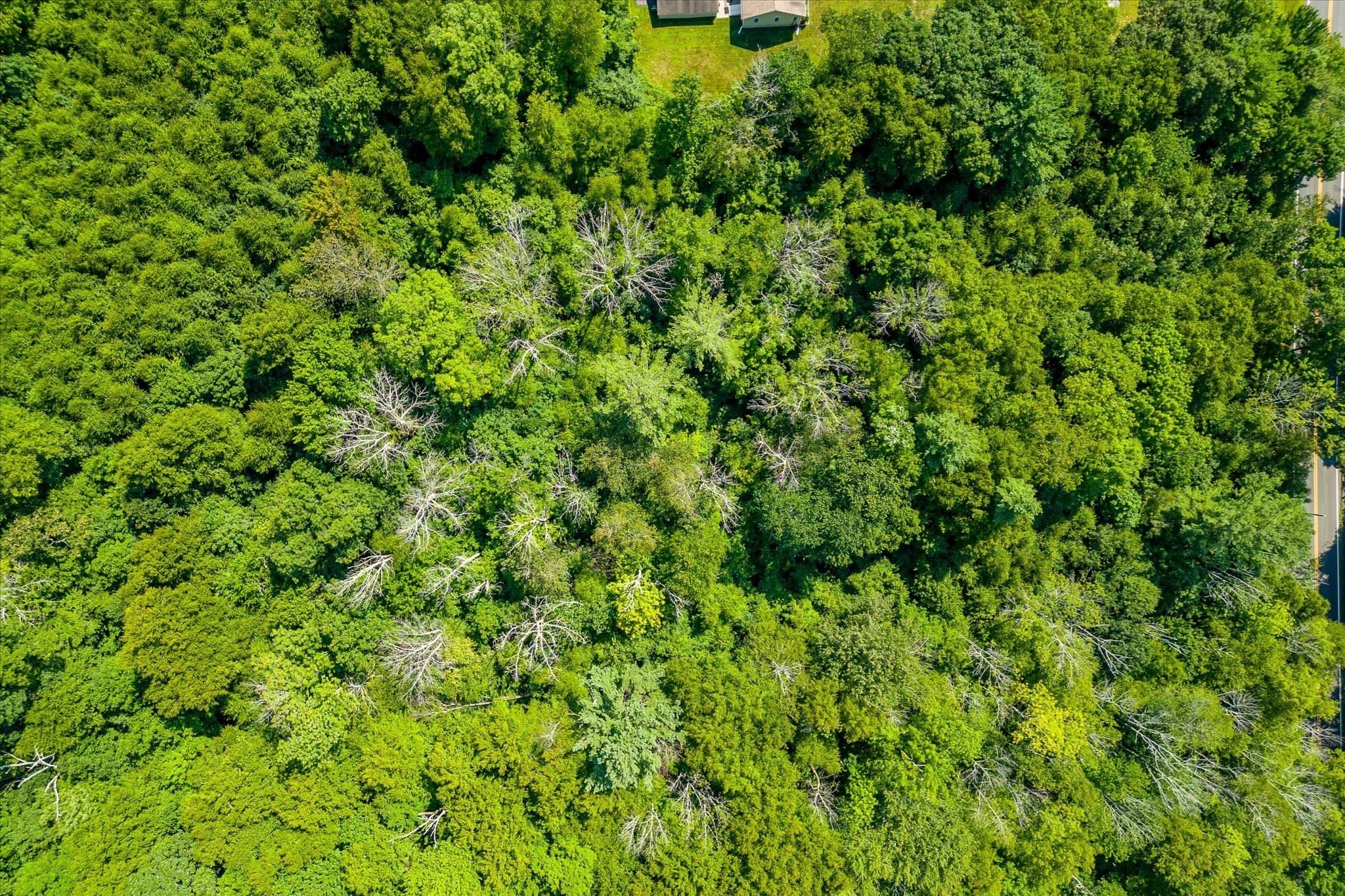 Residential at 2E Petersham Road, Hardwick MA 01082, photo 6 of 8