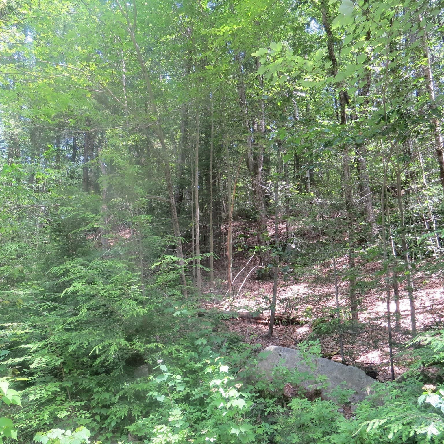 Residential at Lot 1 Pratt Corner Road, Leverett MA 01054, photo 3 of 5