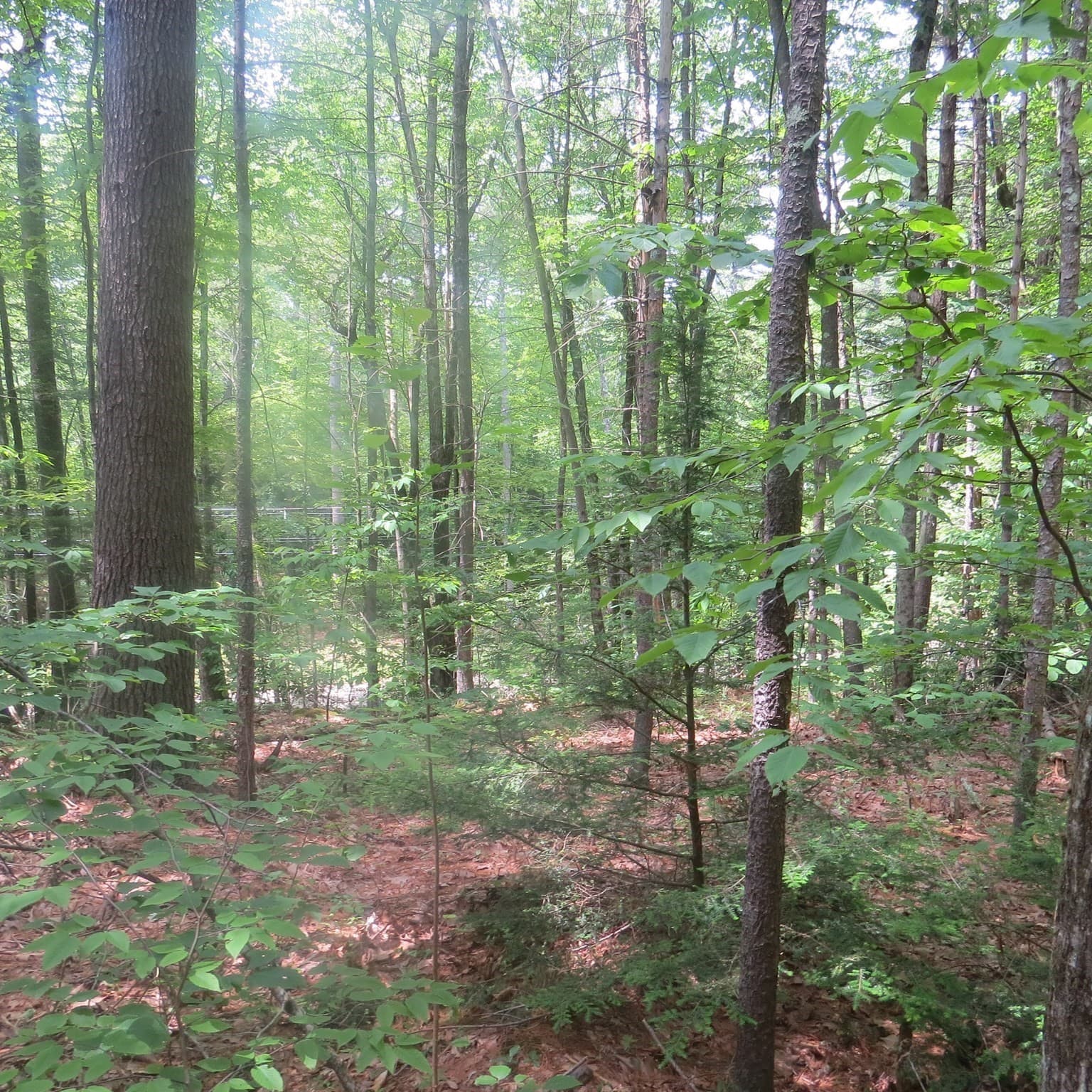 Residential at Lot 1 Pratt Corner Road, Leverett MA 01054, photo 5 of 5
