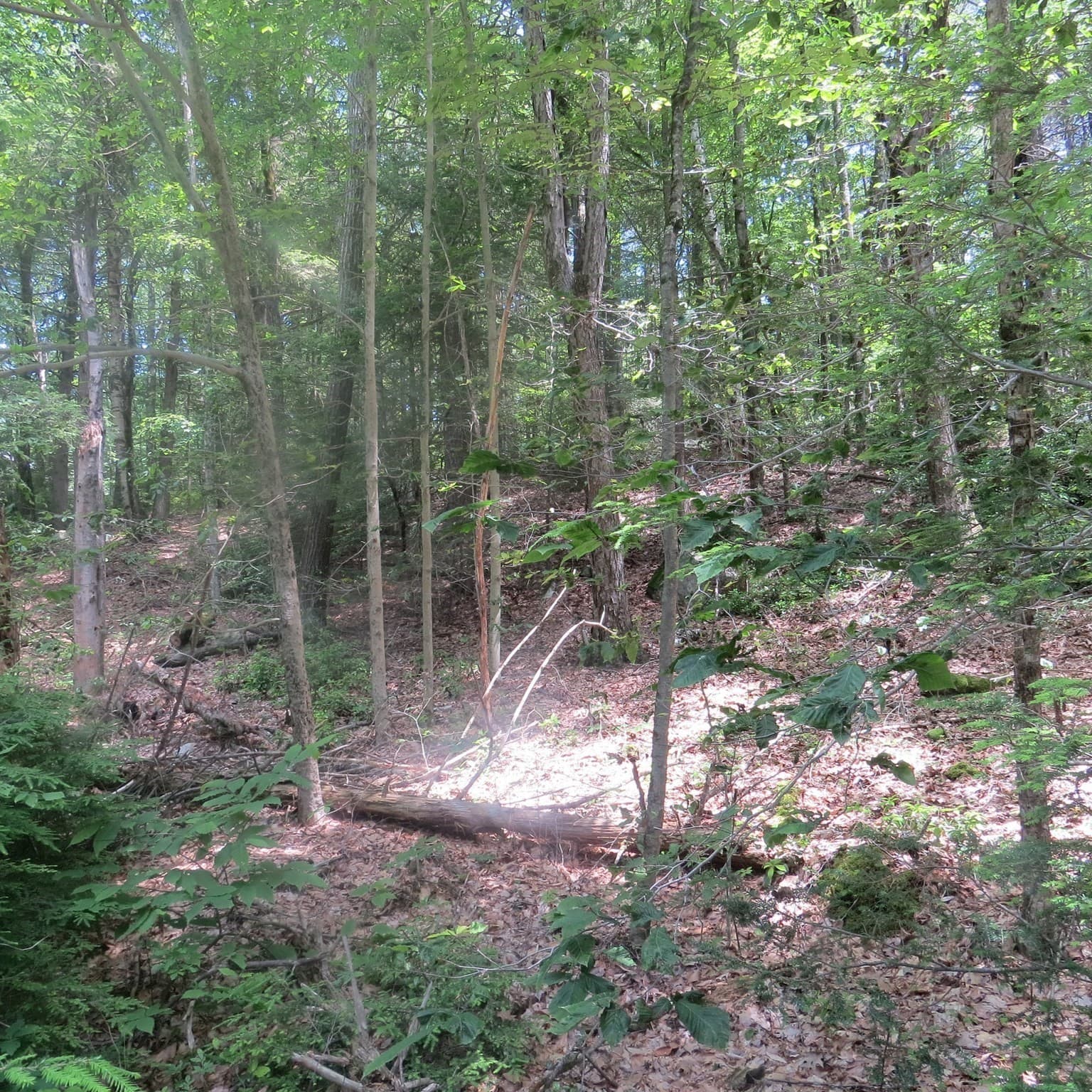 Residential at Lot 1 Pratt Corner Road, Leverett MA 01054, photo 4 of 5