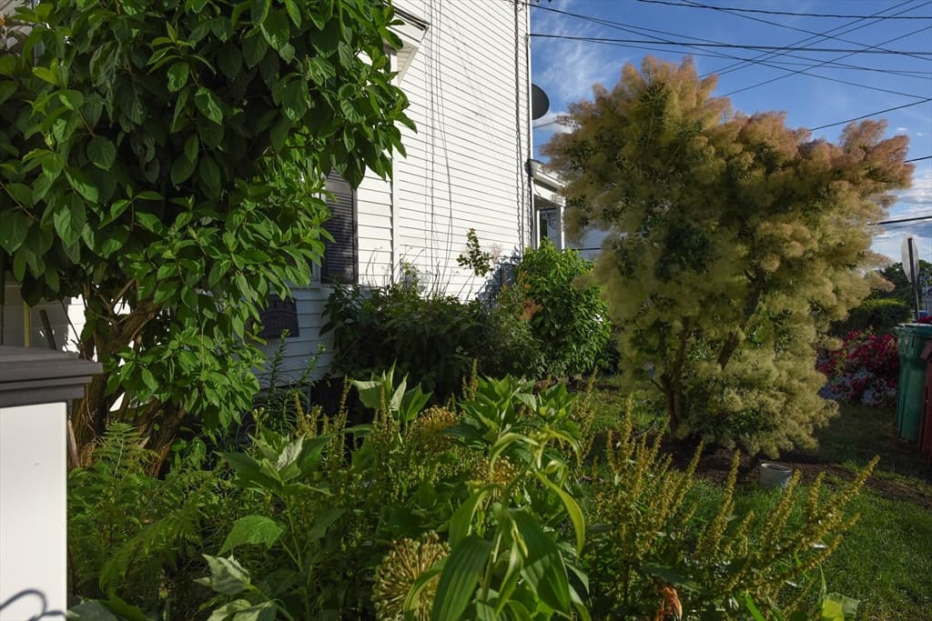 103 Dalton Street, Lowell MA 01850 photo 23