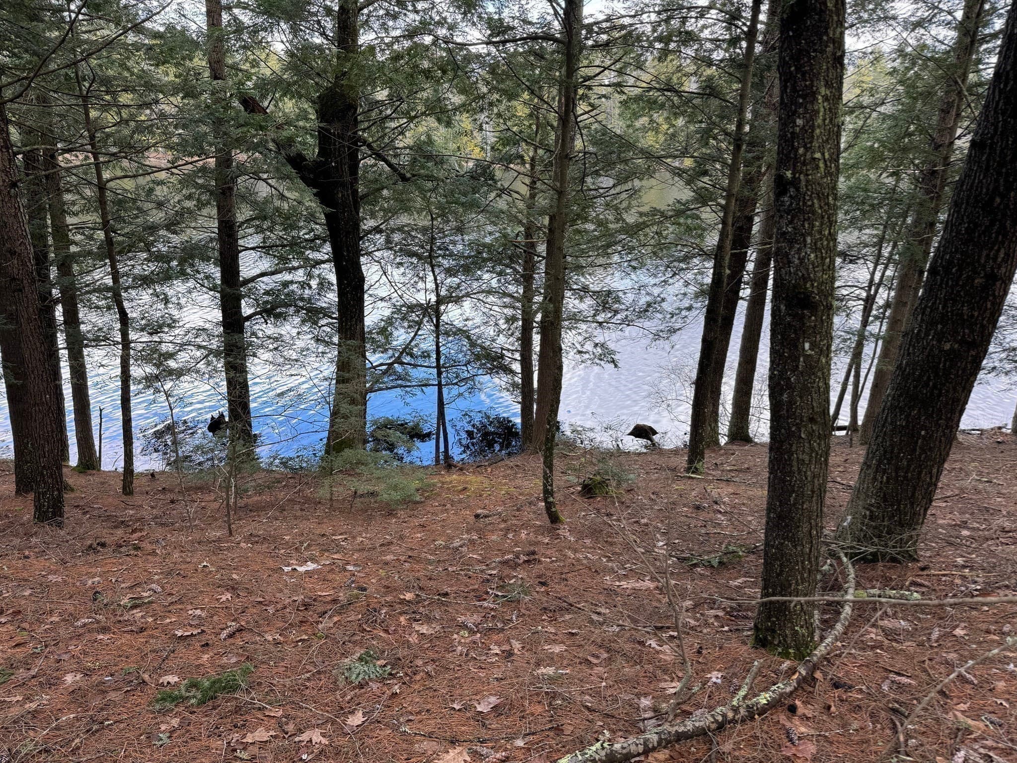 Residential at 148 Beaver Brook Road, Limerick ME 04048, Limerick, photo 10 of 11