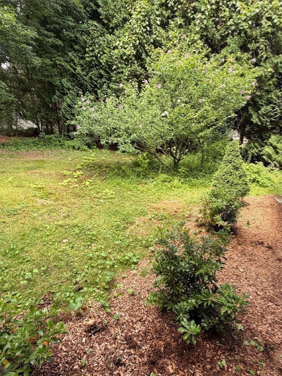 Single Family Residence at 16 Clark, Belchertown MA 01700, photo 26 of 36