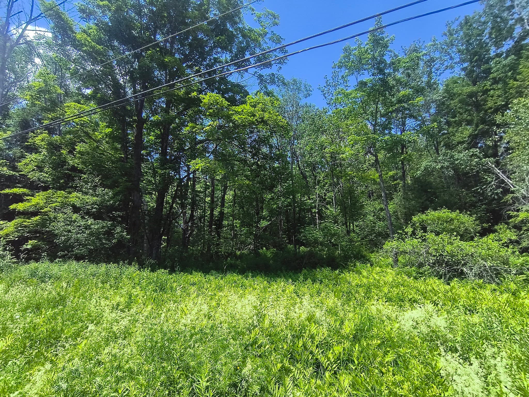 0 Brown Hill Road, Worthington MA 01098
