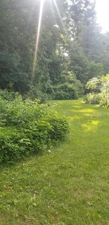 Single Family Residence at 11 Longfellow Rd, Lexington MA 02420, photo 2 of 3