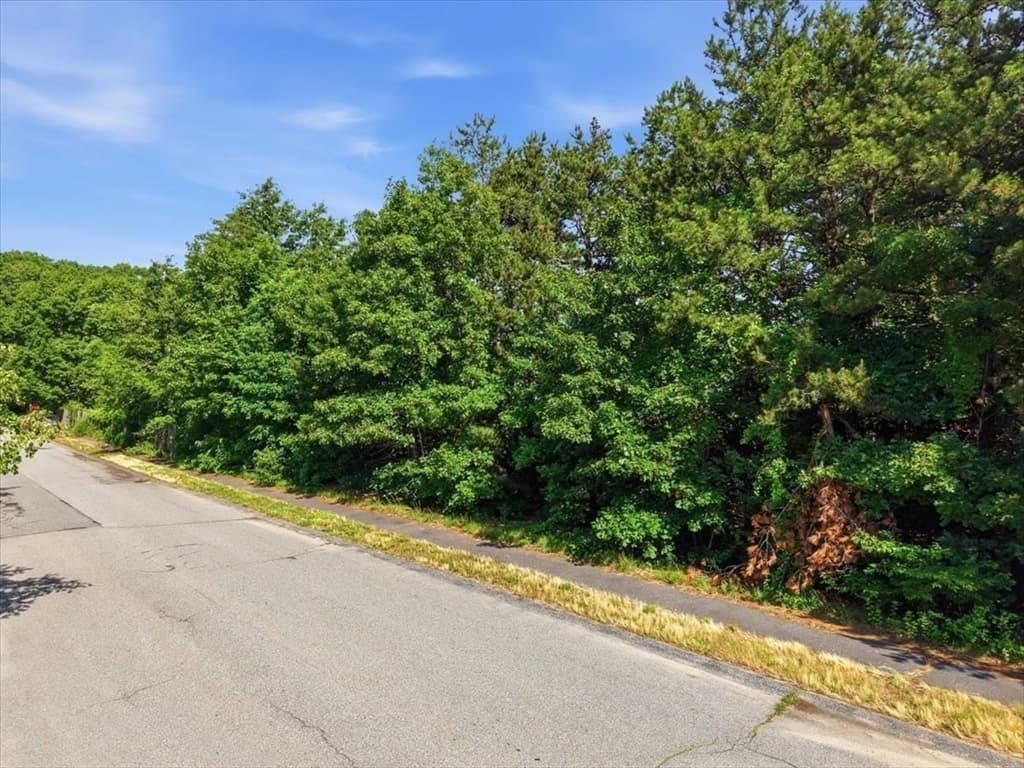 24 Alexandra Dr, Freetown MA 02702 photo 6