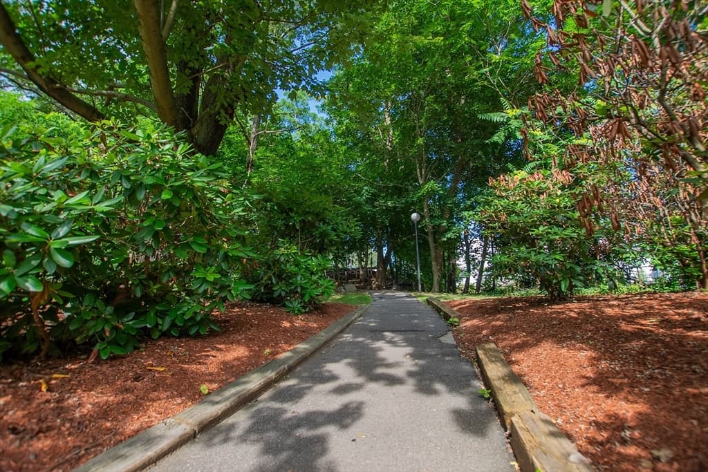 250 Hammond Pond Parkway # 102N, Newton MA 02467 photo 38