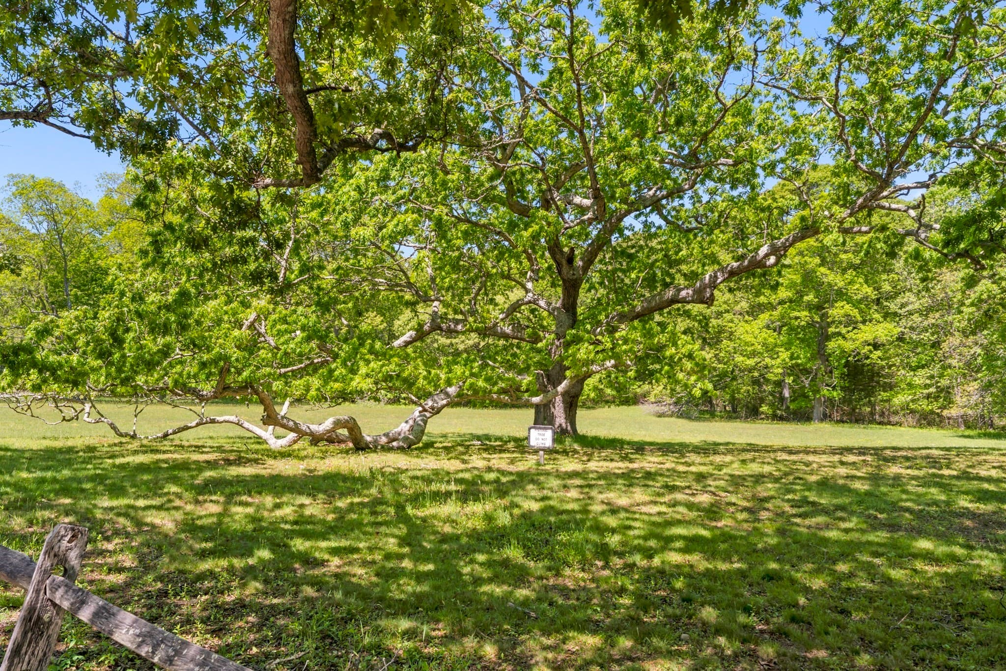 Residential at 23 Onkokemmy Road, West Tisbury MA 02575, photo 8 of 9