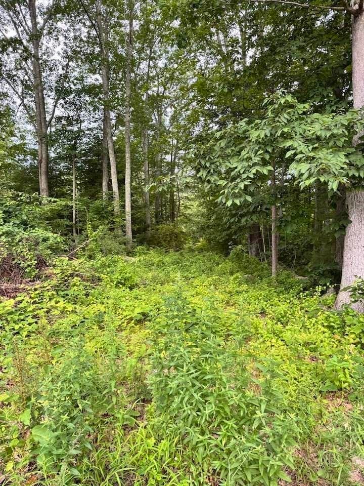 Residential at 24-A 34-A Dow, Pepperell MA 01463, photo 3 of 9
