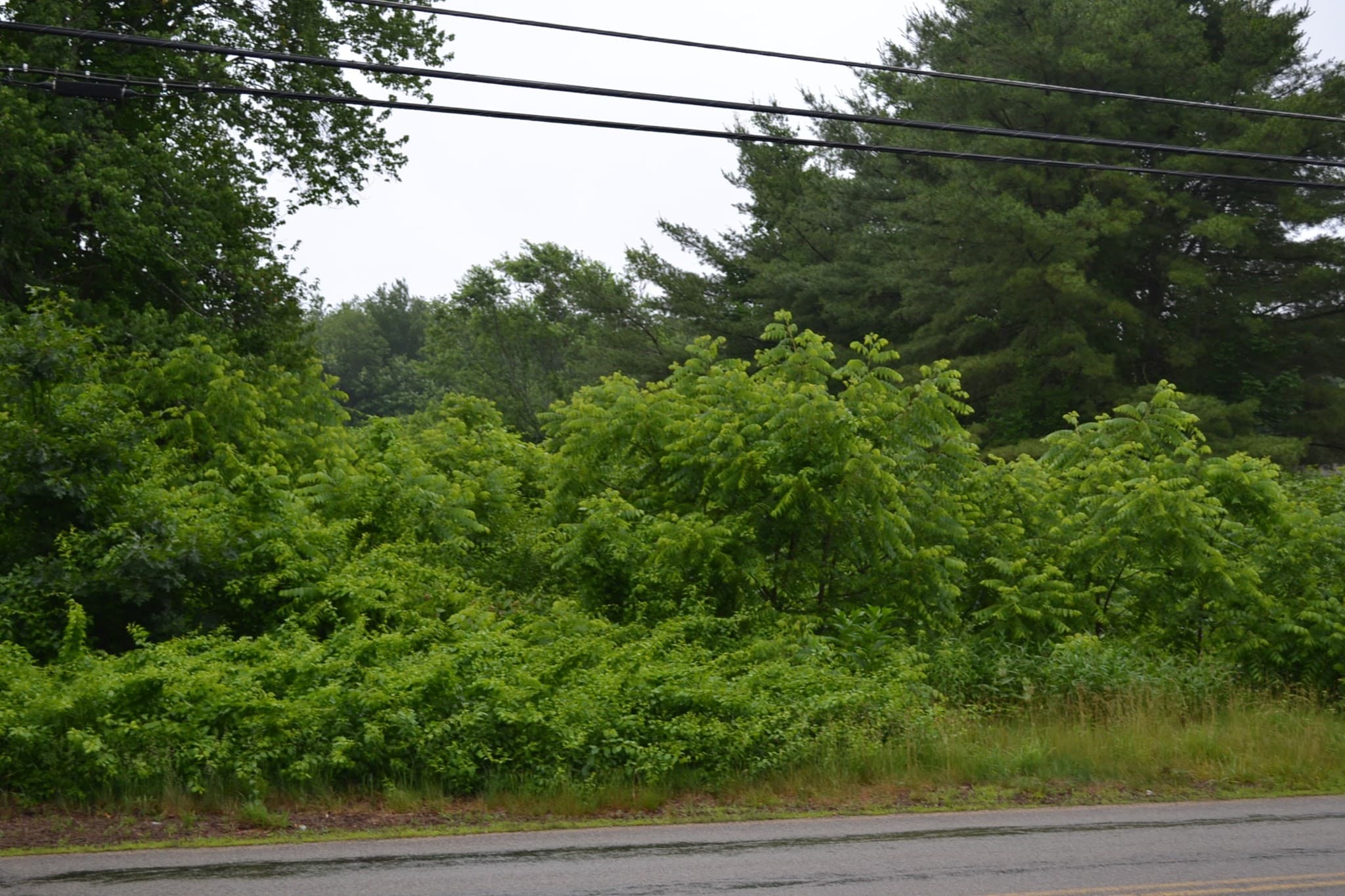 32 Quaboag St, Brookfield MA 01506