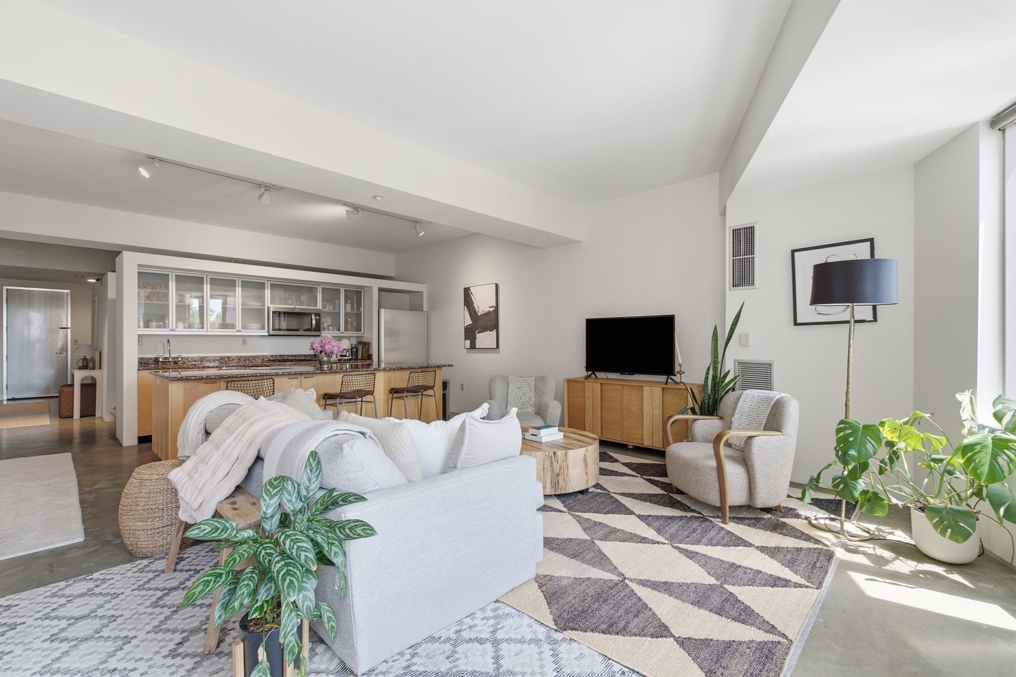 Condominium at 1313 Washington St. # 414, Boston MA 02118, photo 2 of 32