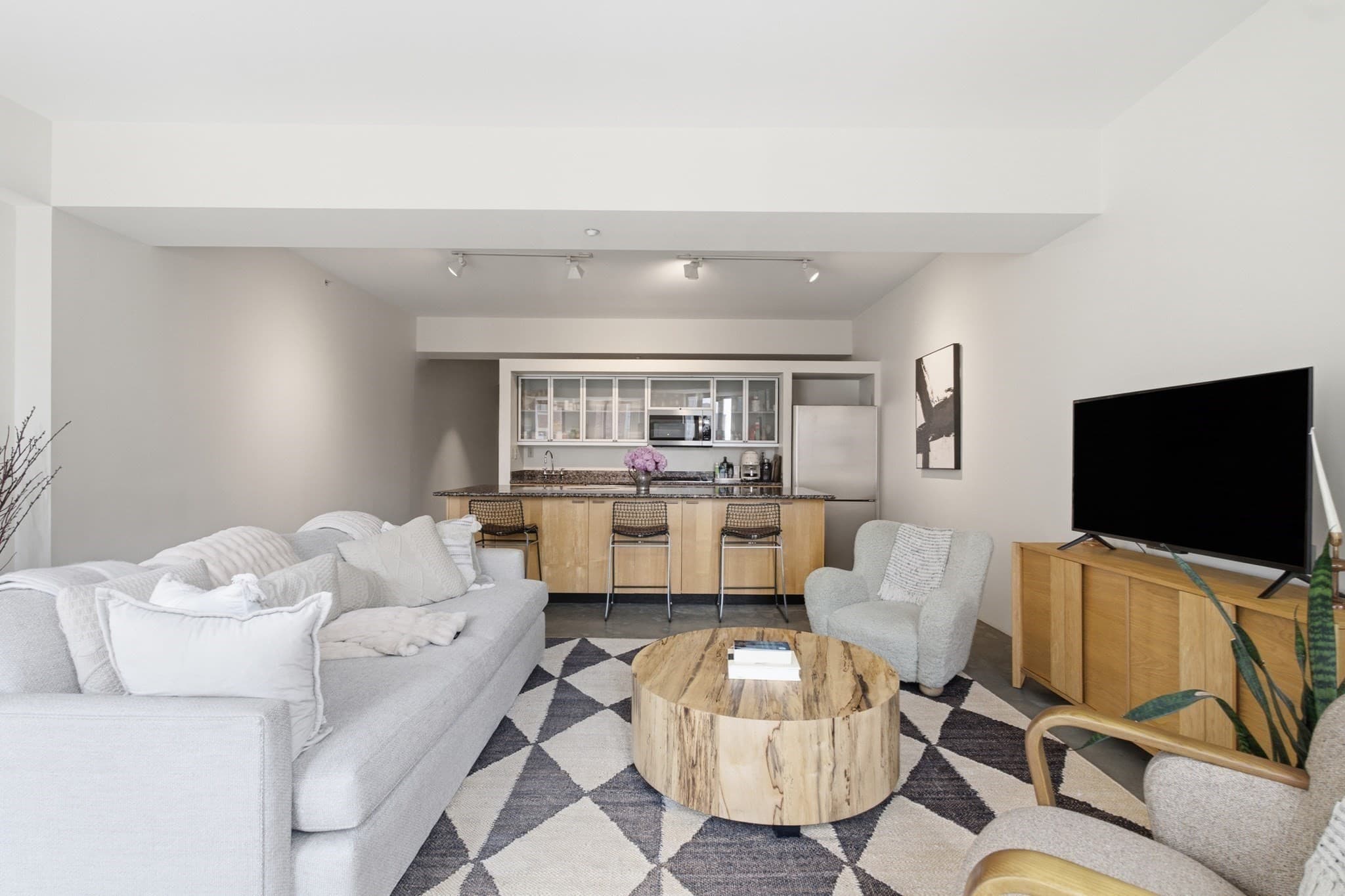 Condominium at 1313 Washington St. # 414, Boston MA 02118, photo 6 of 32
