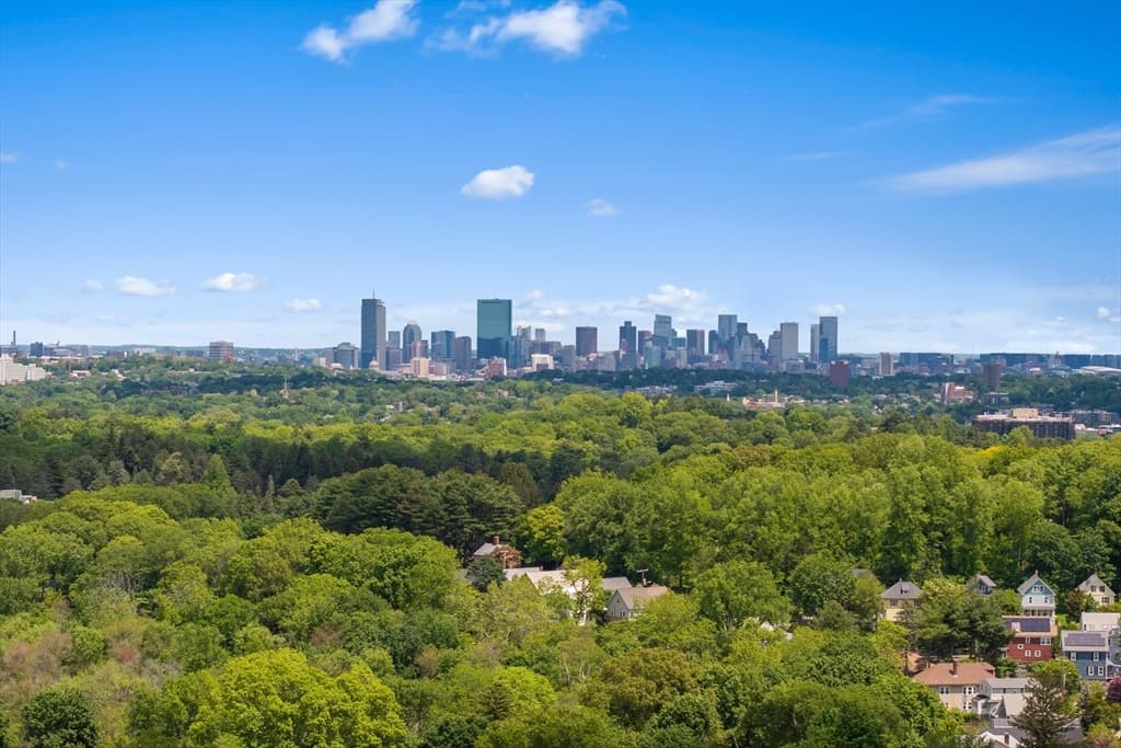 Condominium at 10-12 Tafthill Park # 1, Boston MA 02131, Boston, photo 27 of 29