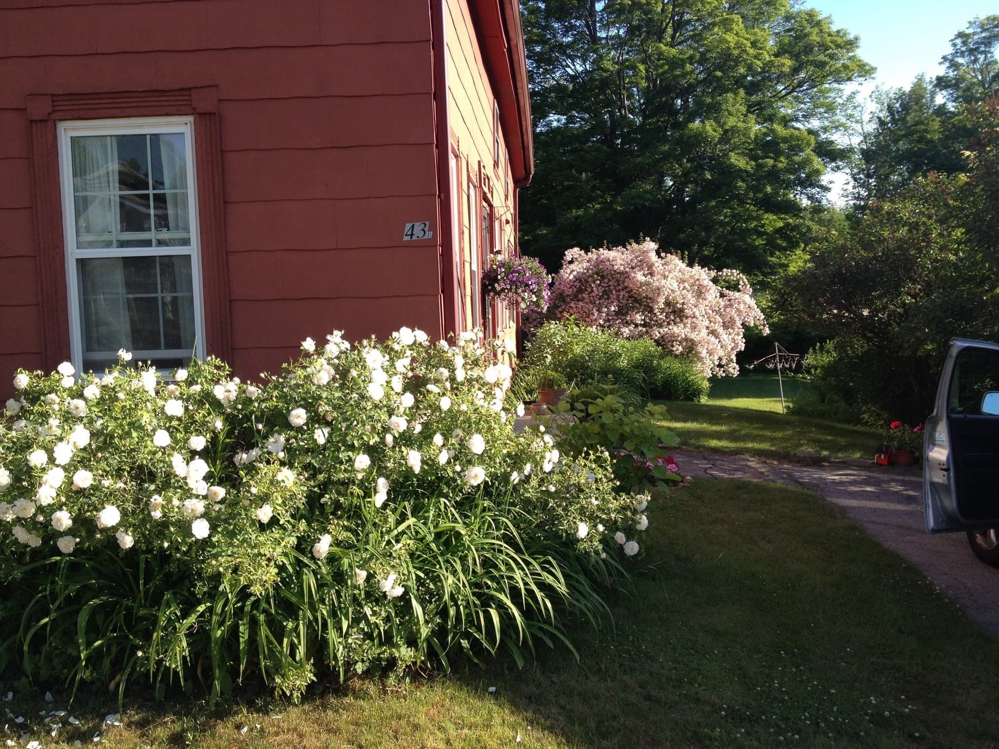 Multi Family at 43 Summer St, Barre MA 01005, photo 5 of 34
