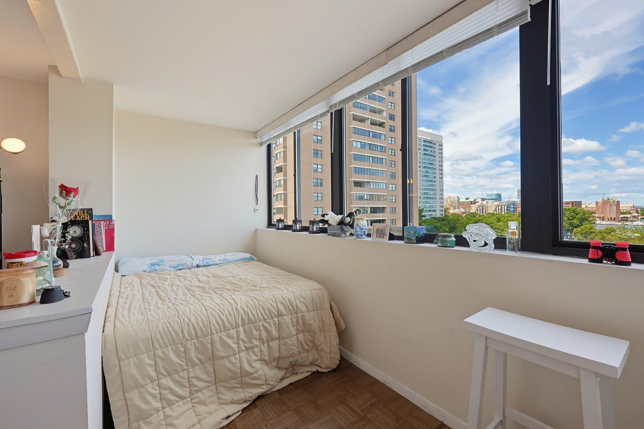 Condominium at 6 Whittier Pl # 7B, Boston MA 02114, photo 7 of 25