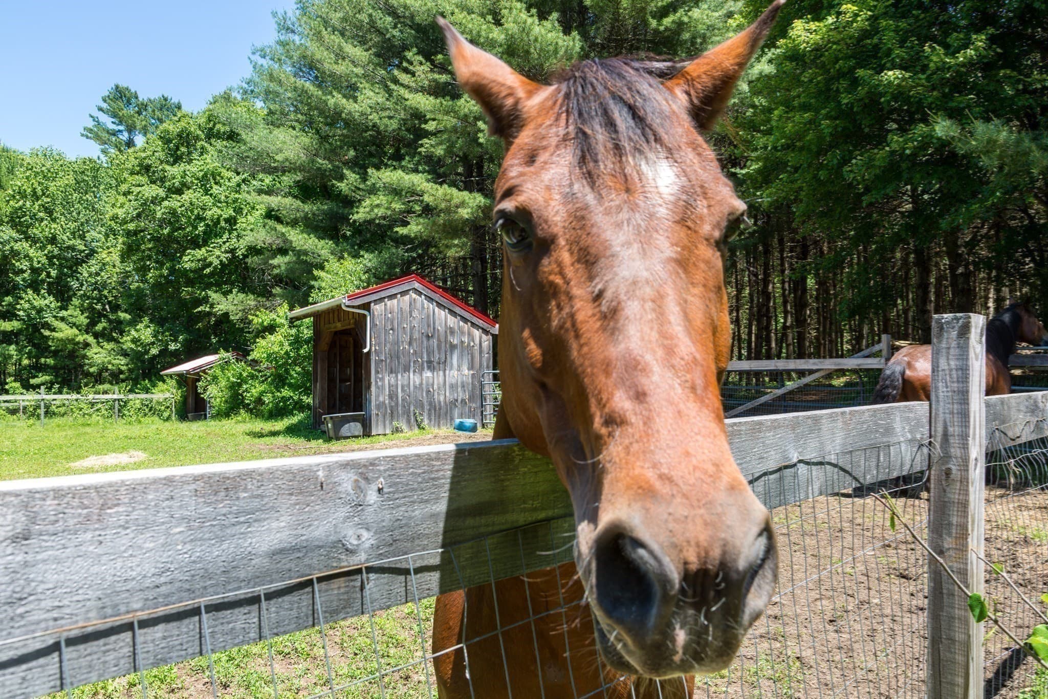 Equestrian at 117 South Street, Upton MA 01568, photo 30 of 42