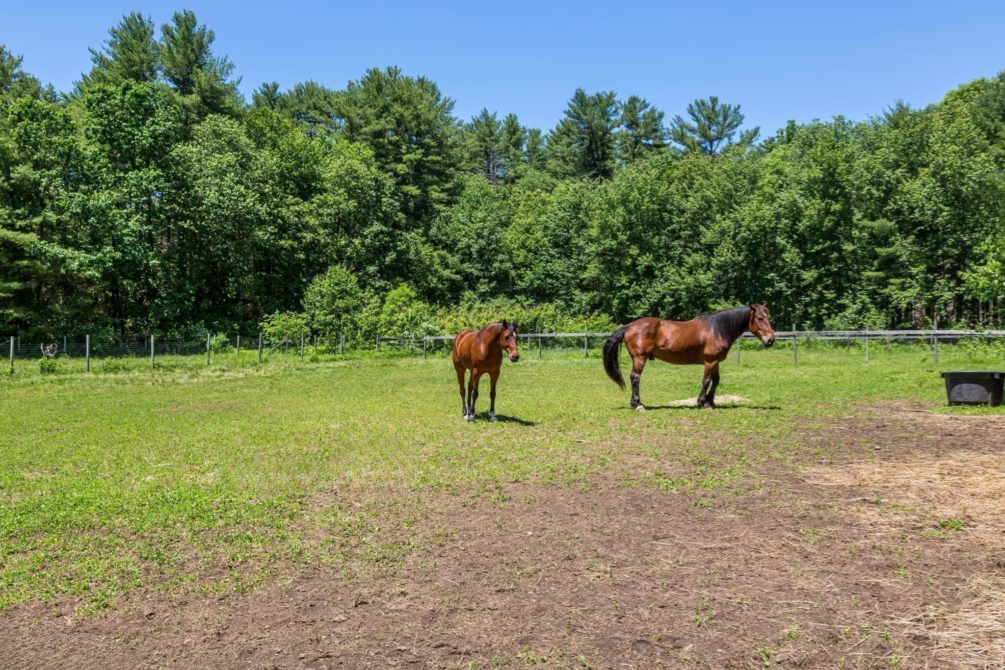 Equestrian at 117 South Street, Upton MA 01568, photo 35 of 42