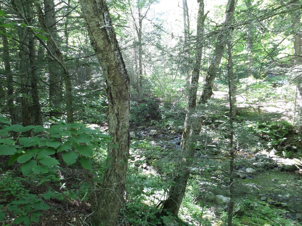 Single Family Residence at 43-A River Rd, Middlefield MA 01050, Middlefield, photo 6 of 24