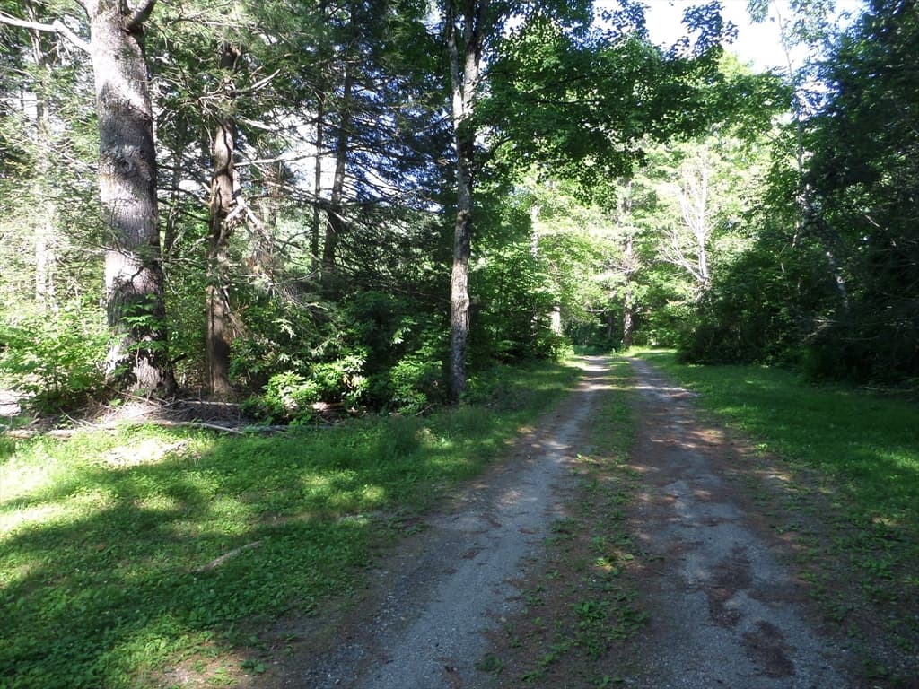 Single Family Residence at 43-A River Rd, Middlefield MA 01050, Middlefield, photo 7 of 24