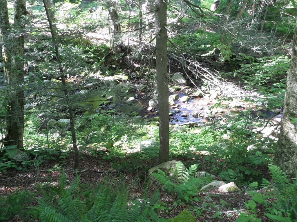 Single Family Residence at 43-A River Rd, Middlefield MA 01050, Middlefield, photo 8 of 24