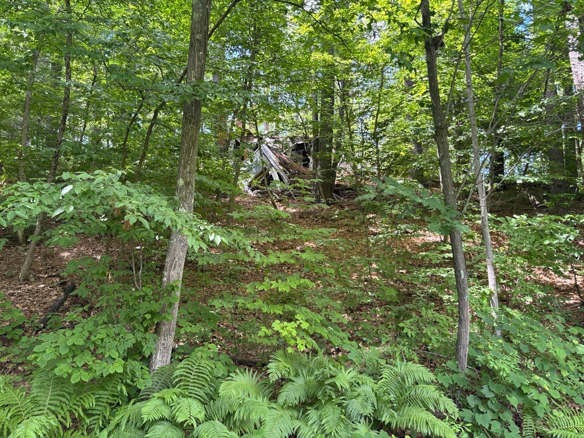 Residential at 9 Georgia Rd, Groton MA 01450, photo 22 of 28