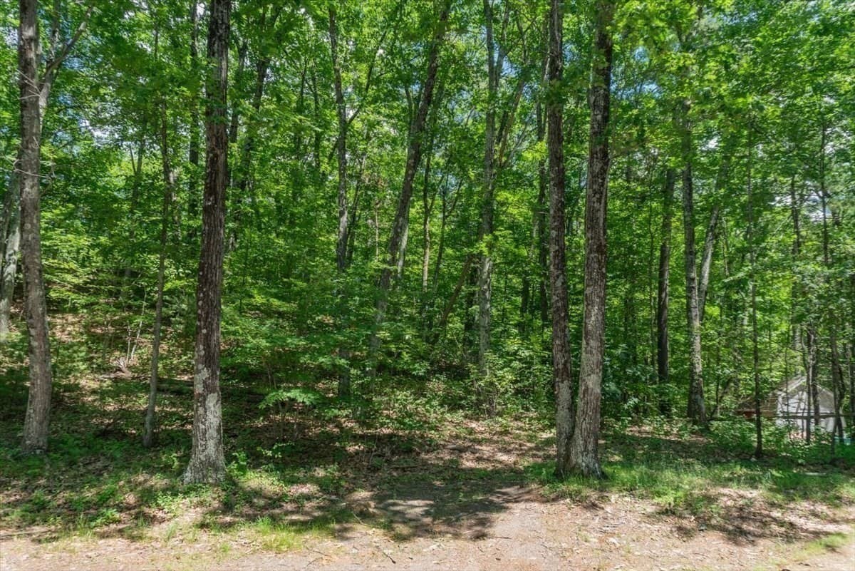 Residential at 0 Alder Rd, Groton MA 01450, photo 6 of 16