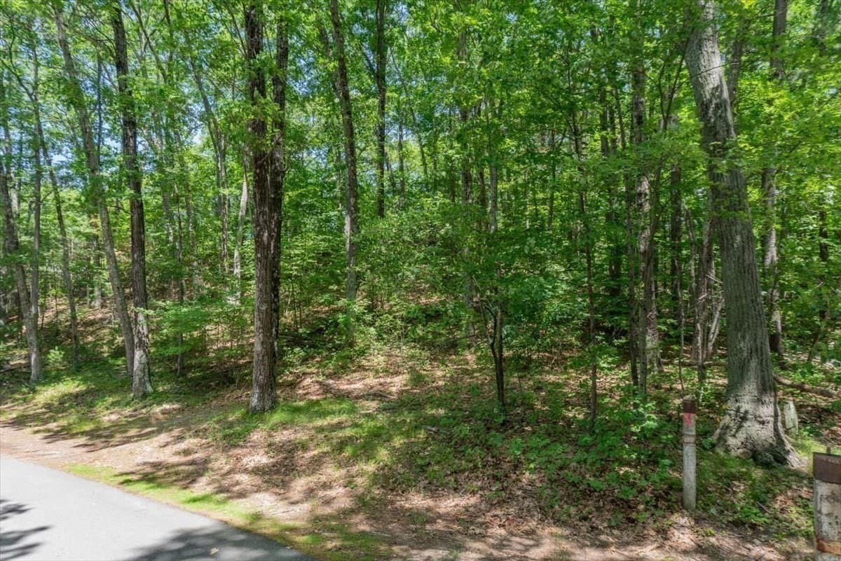 Residential at 0 Alder Rd, Groton MA 01450, photo 5 of 16