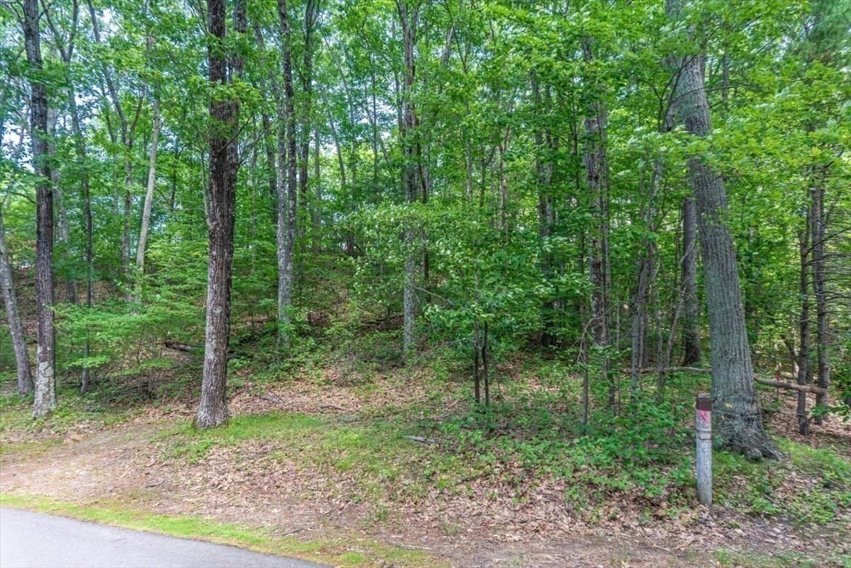 Residential at 0 Alder Rd, Groton MA 01450, photo 9 of 16