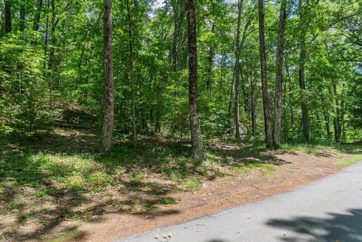 Residential at 0 Alder Rd, Groton MA 01450, photo 10 of 16