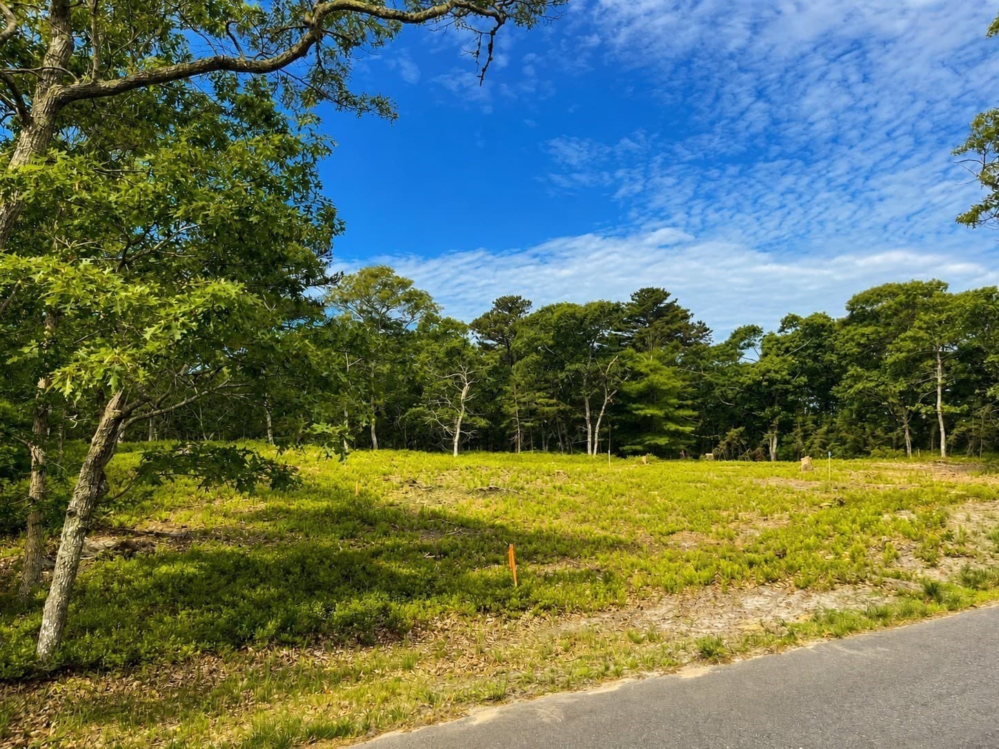 Single Family Residence at 27 Double Ox Rd, Oak Bluffs MA 02557, photo 6 of 12