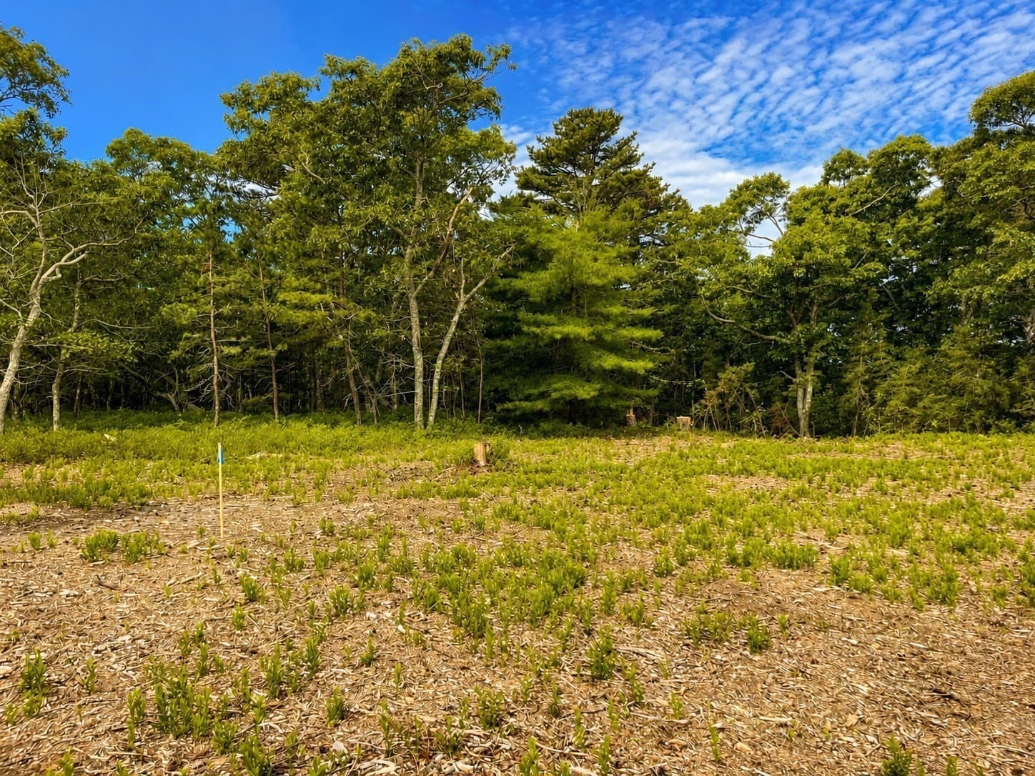 Single Family Residence at 27 Double Ox Rd, Oak Bluffs MA 02557, photo 7 of 12
