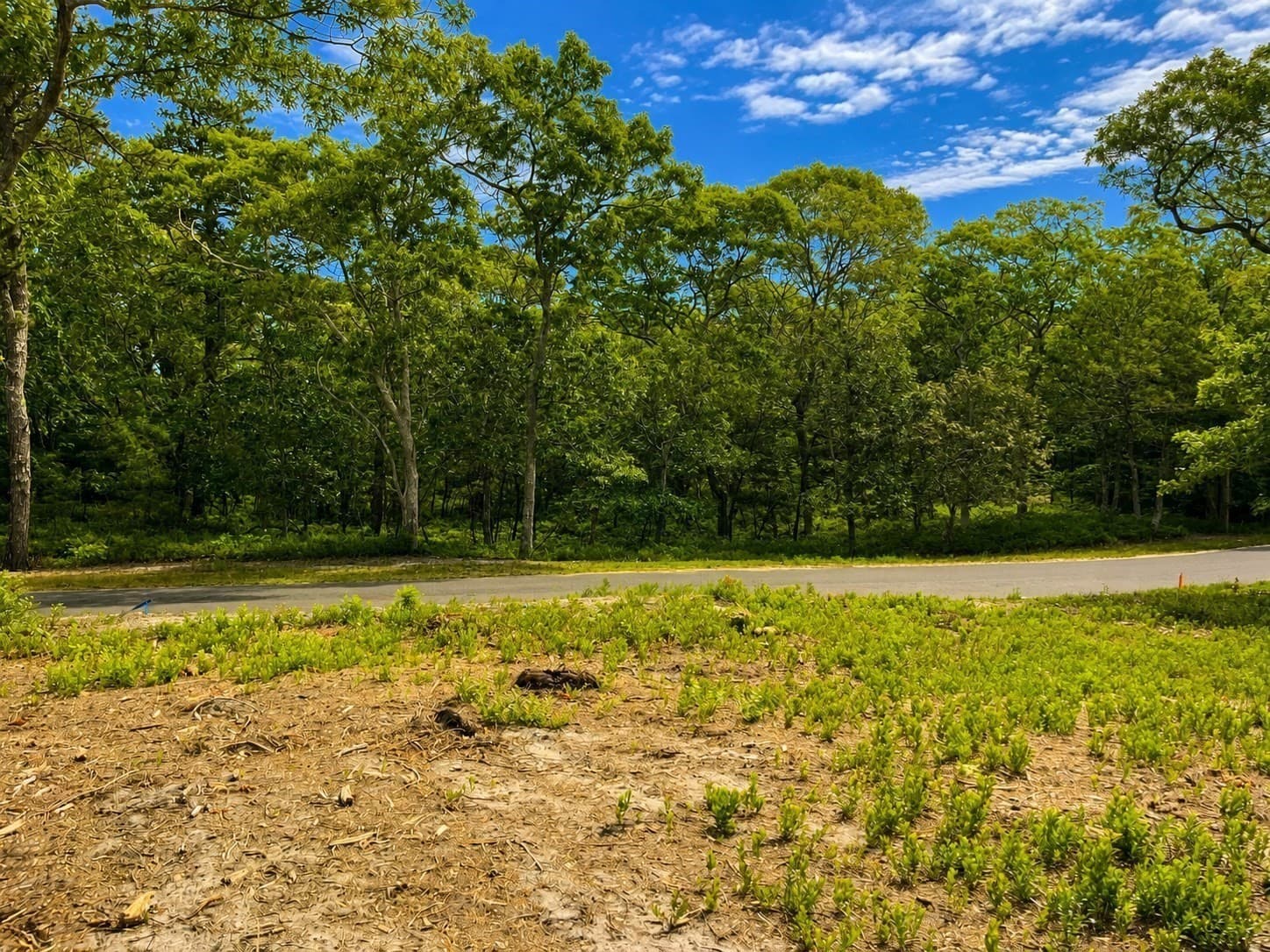 Single Family Residence at 27 Double Ox Rd, Oak Bluffs MA 02557, photo 8 of 12