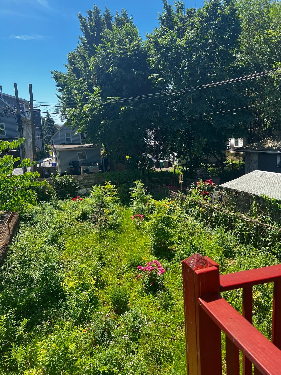 Single Family Residence at 551 Bennington St, Boston MA 02128, Boston, photo 22 of 22