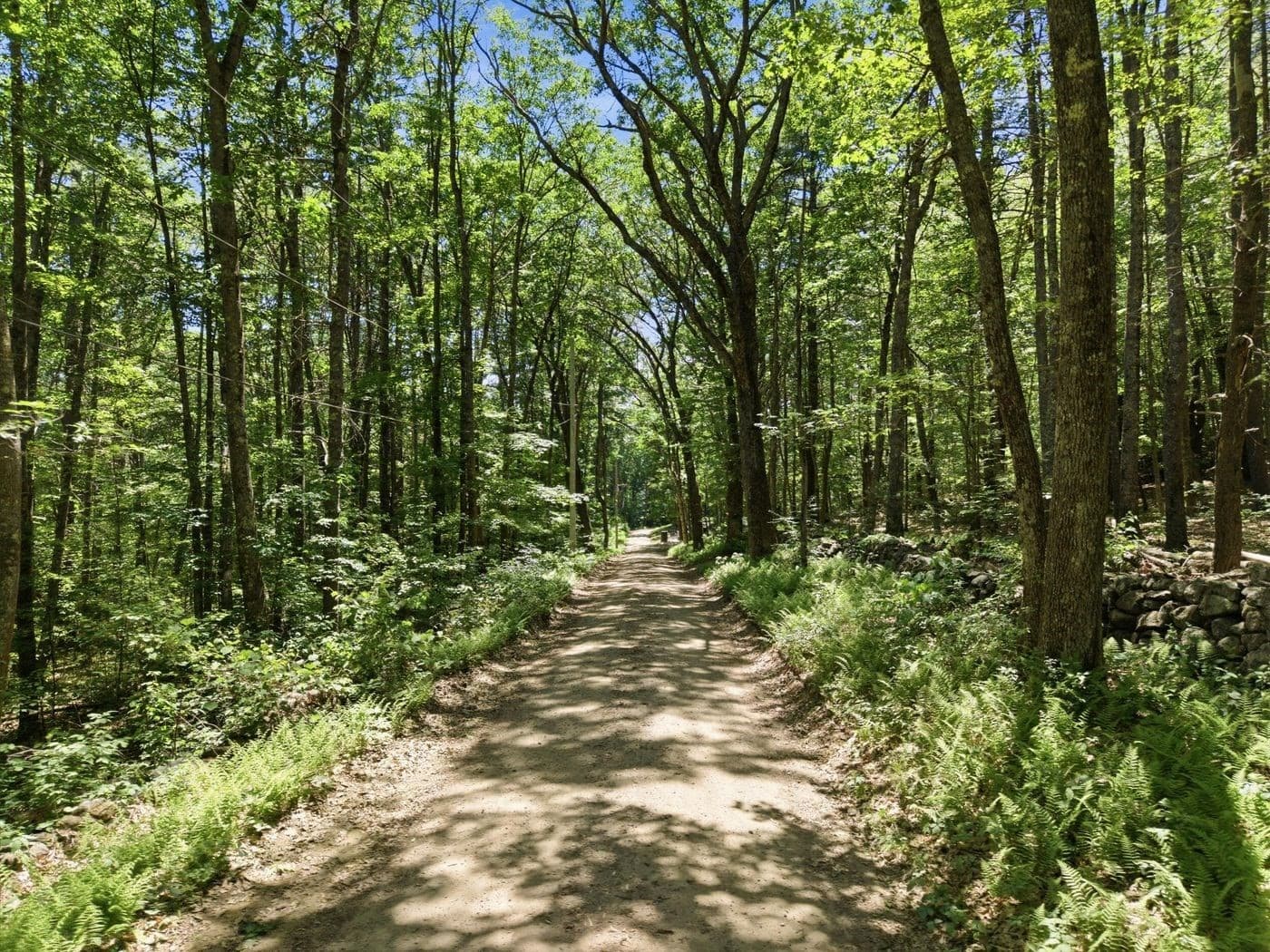 Residential at 0 Carter Pond Road, Petersham MA 01366, photo 16 of 18