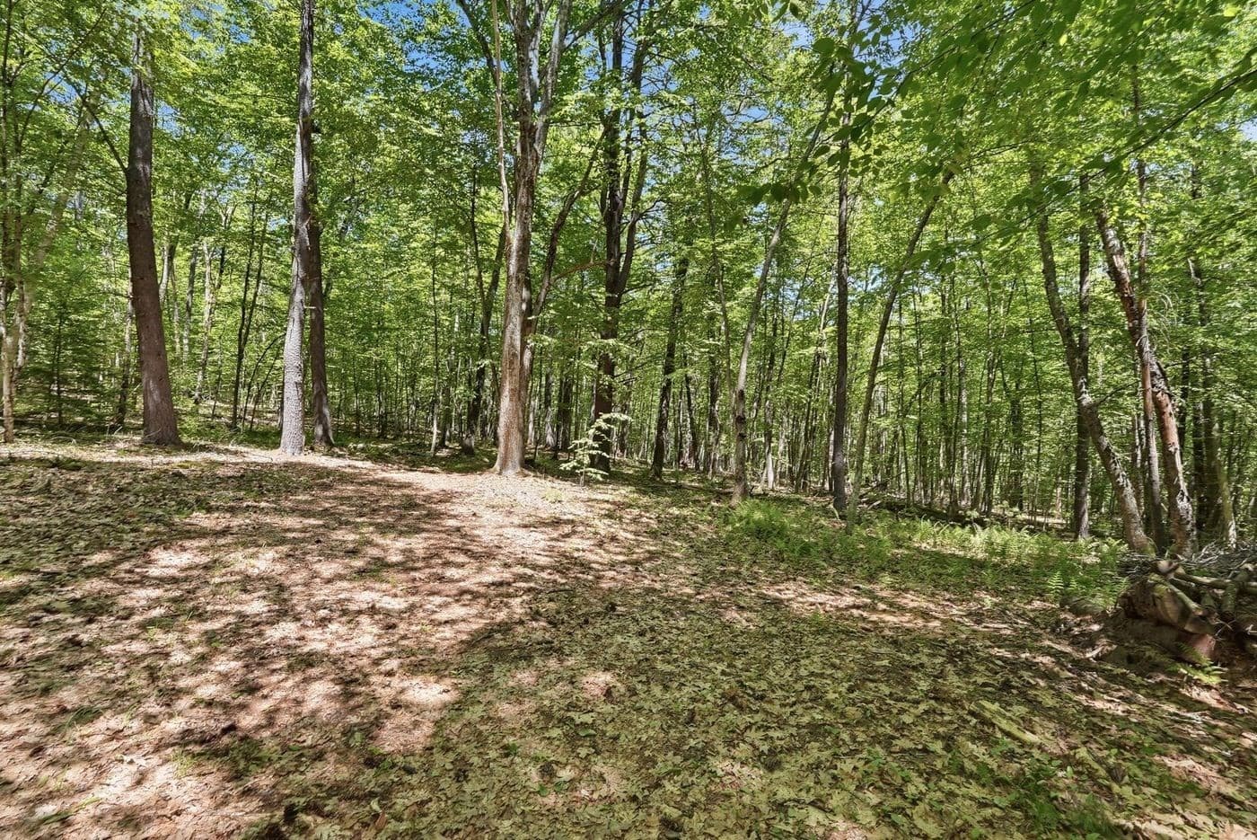 Residential at 0 Carter Pond Road, Petersham MA 01366, photo 12 of 18
