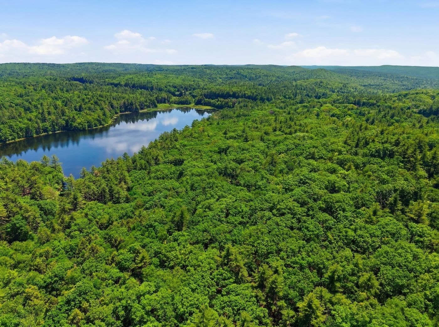 0 Carter Pond Road, Petersham MA 01366