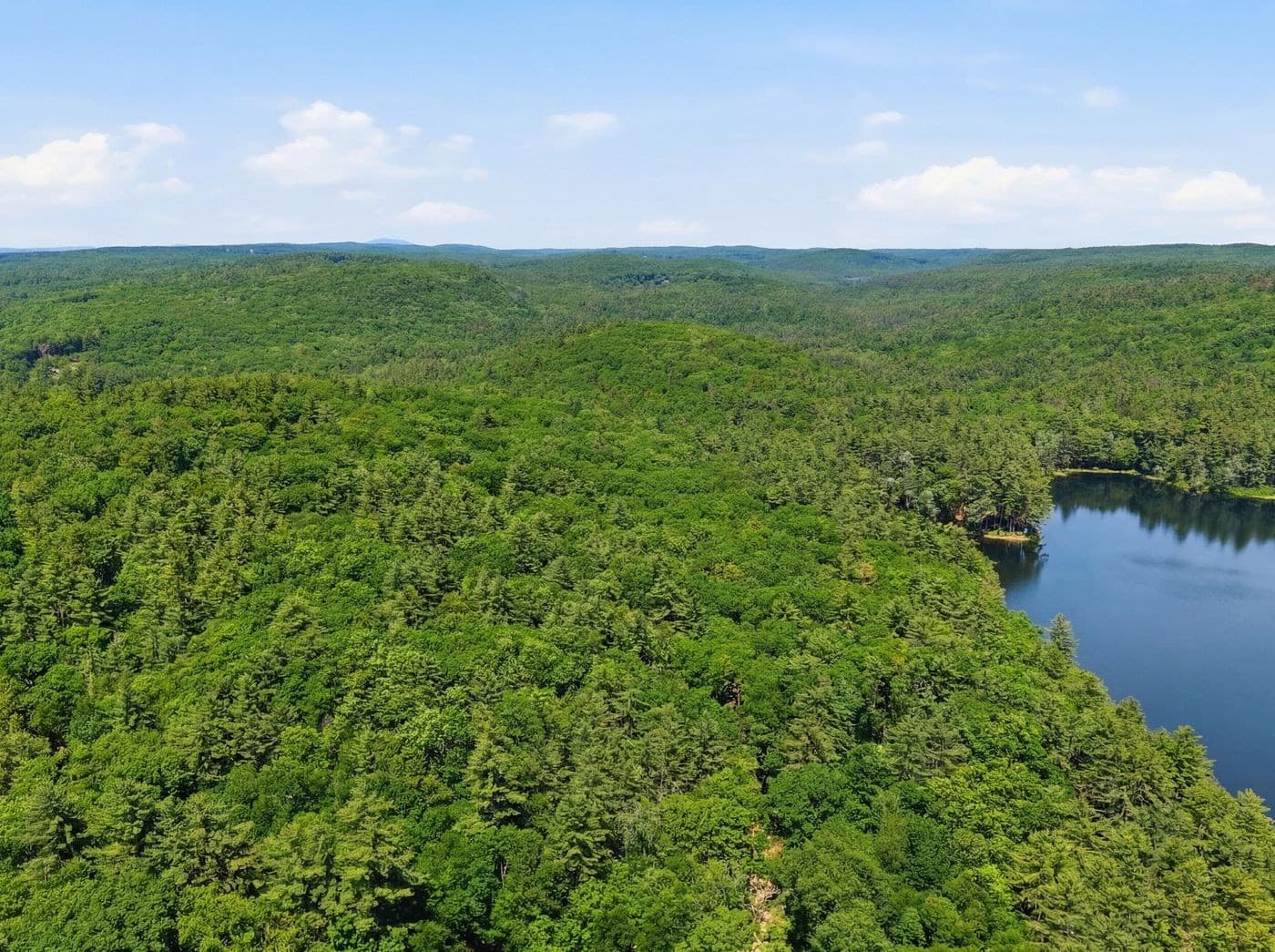 Residential at 0 Carter Pond Road, Petersham MA 01366, photo 5 of 18