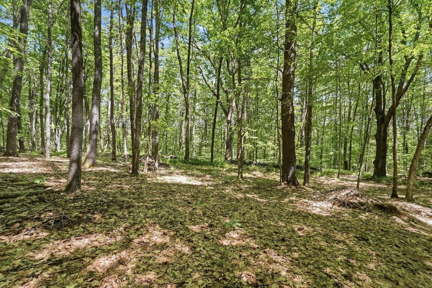Residential at 0 Carter Pond Road, Petersham MA 01366, photo 10 of 18