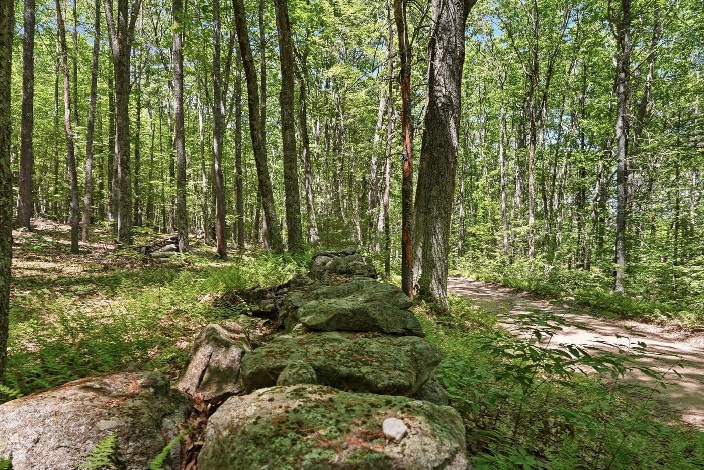 Residential at 0 Carter Pond Road, Petersham MA 01366, photo 14 of 18
