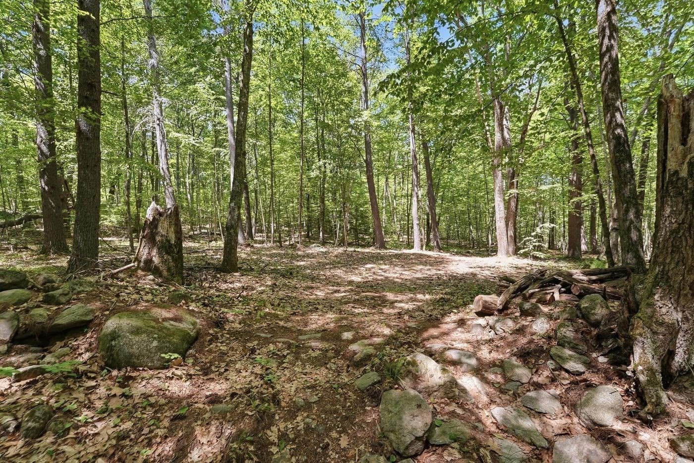 Residential at 0 Carter Pond Road, Petersham MA 01366, photo 11 of 18