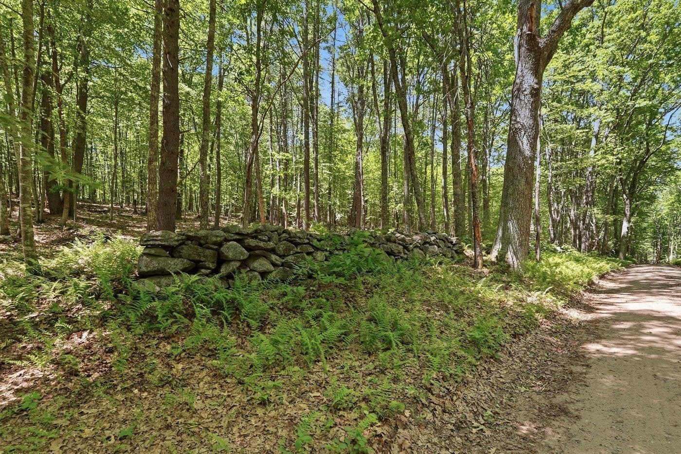 Residential at 0 Carter Pond Road, Petersham MA 01366, photo 4 of 18
