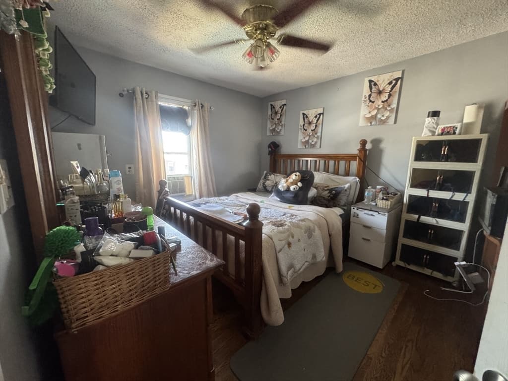 29 Adams Ave, Everett MA 02149 photo 17