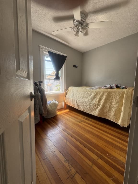29 Adams Ave, Everett MA 02149 photo 19