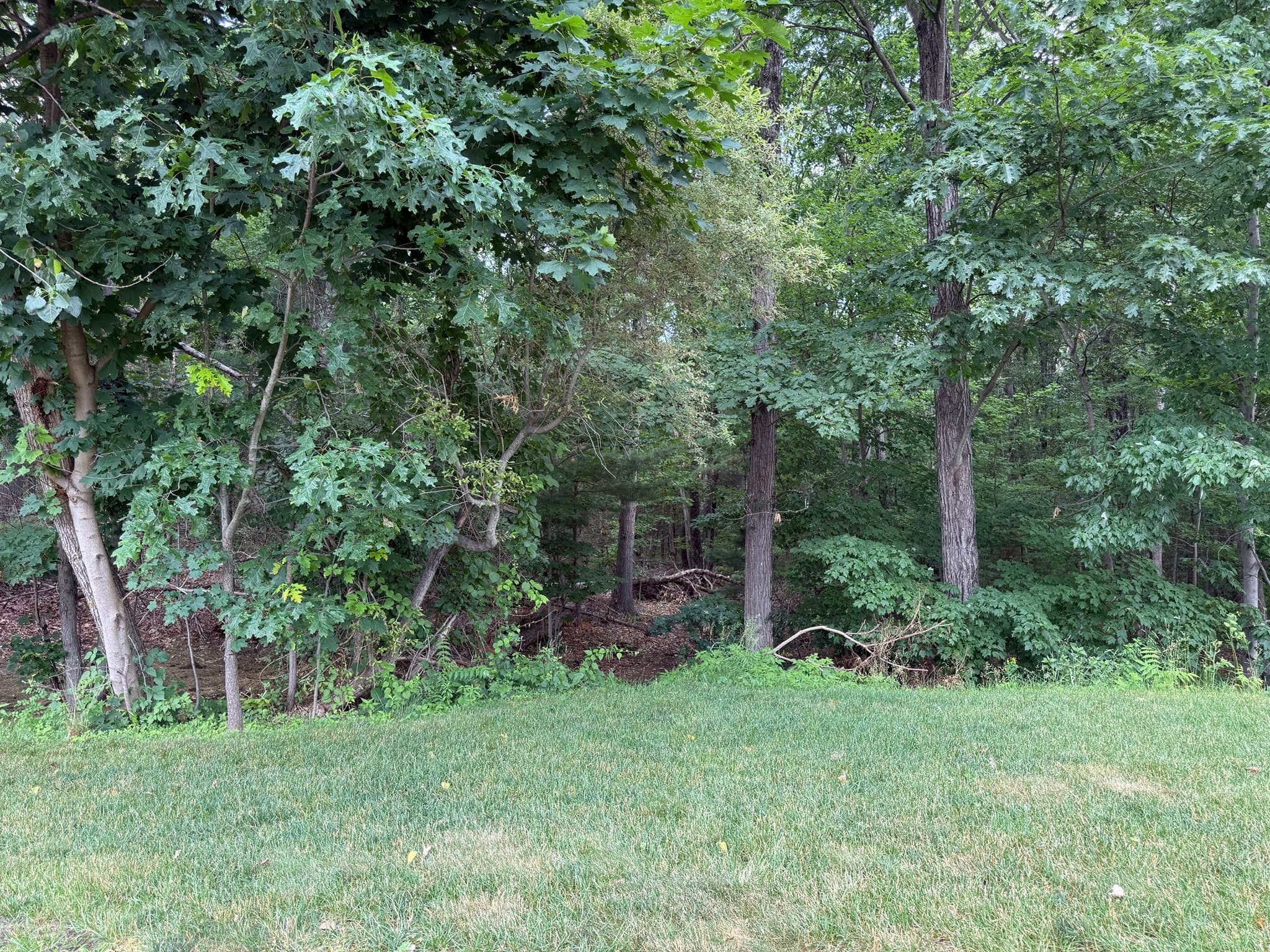 Residential at 0 Symphony Dr, Franklin MA 02038, Franklin, photo 13 of 14