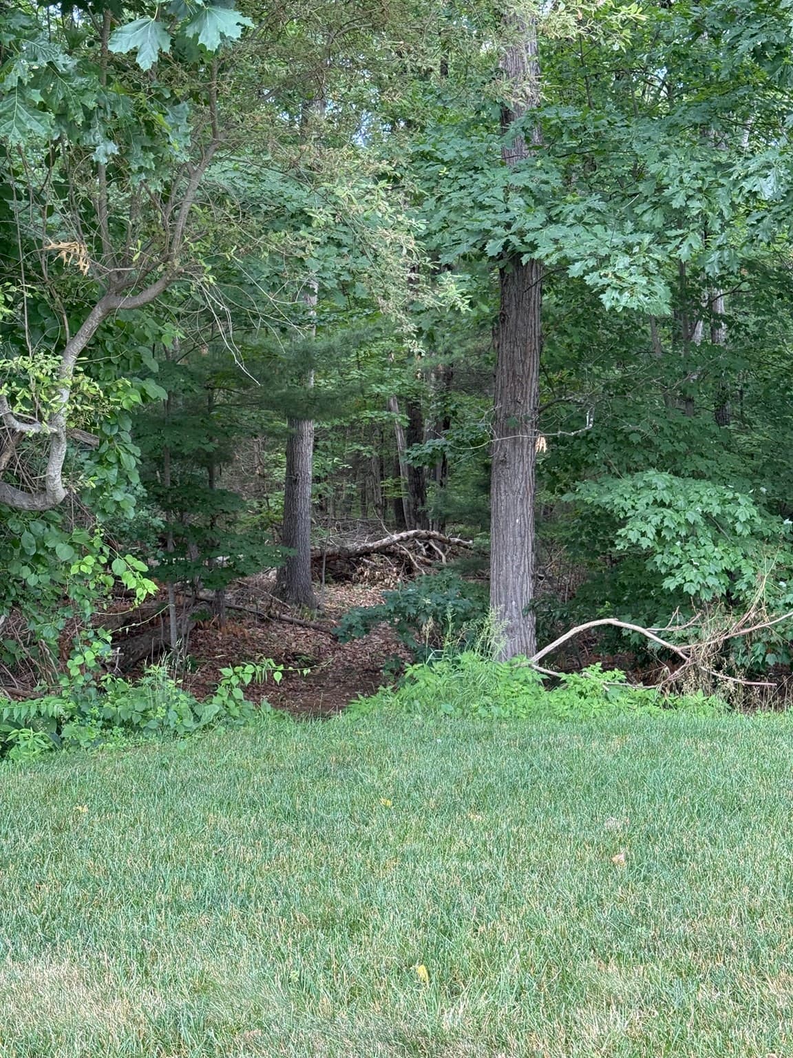 Residential at 0 Symphony Dr, Franklin MA 02038, Franklin, photo 14 of 14